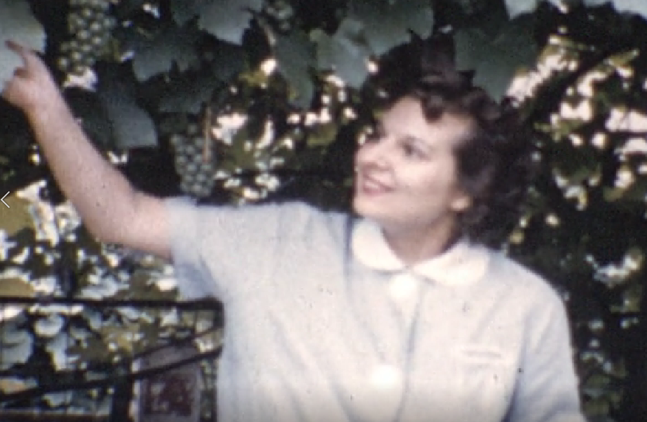 Garden Video Still